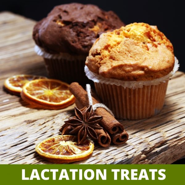 Lactation Treats