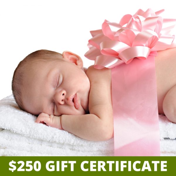 $250 Gift Certificate